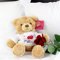 Personalised Snuggle Monster Message Bear